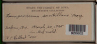 Image Associated With the Occurence